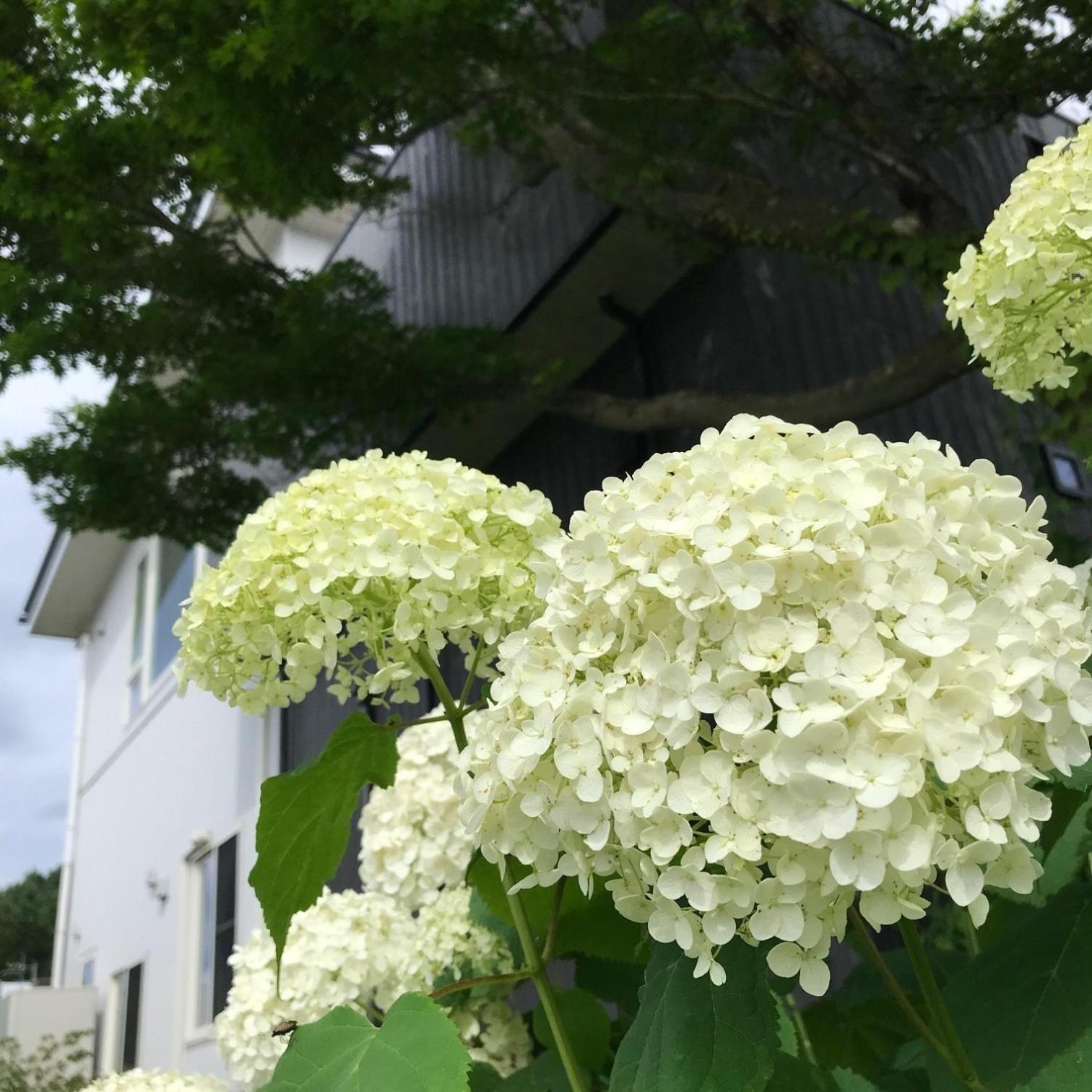 Sweet Villa Takasama - Vacation Stay 11775 富士吉田市 外观 照片