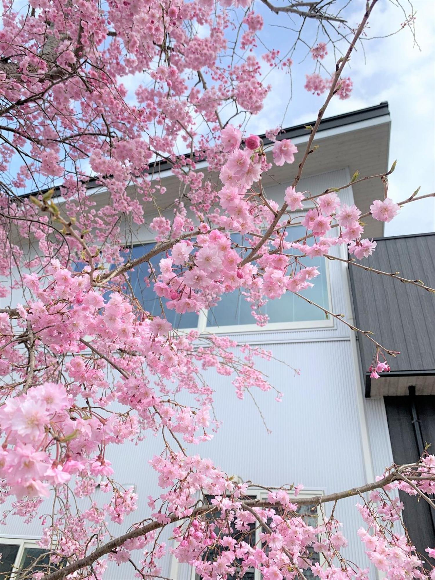 Sweet Villa Takasama - Vacation Stay 11775 富士吉田市 外观 照片